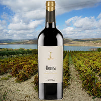 Cantine Cellaro Usulea Nero d'Avola DOC 2022 Cantine Cellaro (Italy)