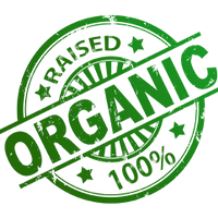 Frozen Organic Grass Fed Angus Mince Beef 1 kg