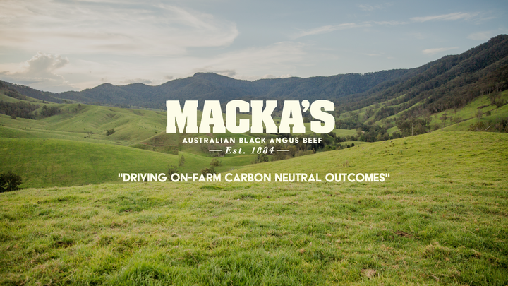 Savor Macka's Australian Black Angus Beef from Steak King Market – Exclusive Wholesale Price