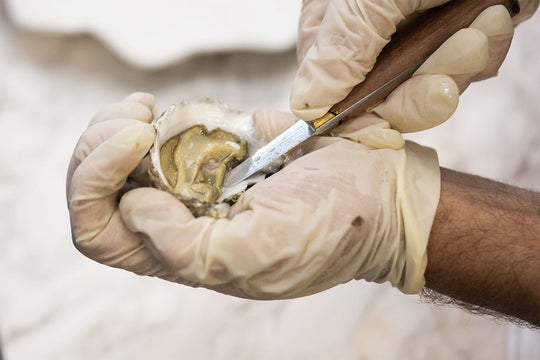Esquire─ Oyster Shucking Class, The Sydney Rock Oyster is back