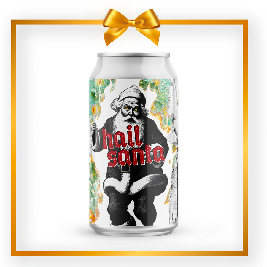 Hail Santa Spiced Christmas Ale by Yardley Brothers - Case