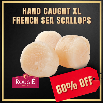 60% off - Hand caught XL French Sea Scallops 