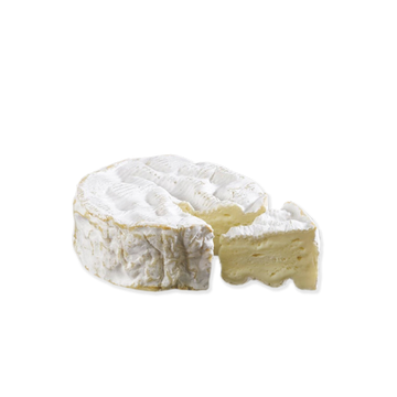 Camembert Soft Cheese