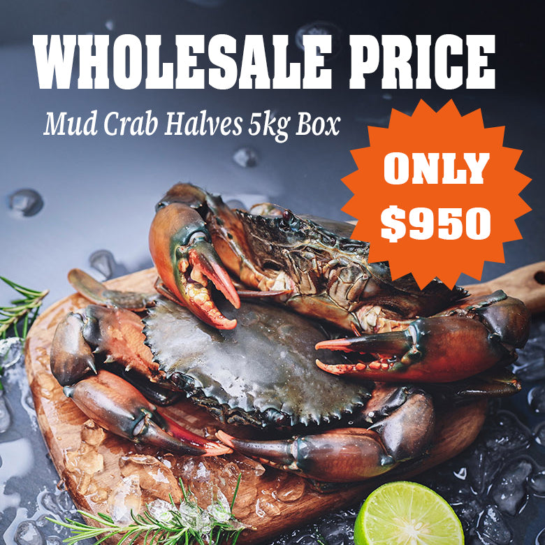 WHOLESALE OFFER Raw Mud Crab, 5kg box Half Price!