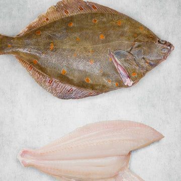 40% Off - Frozen MSC Certified Atlantic Plaice Fillets 1kg