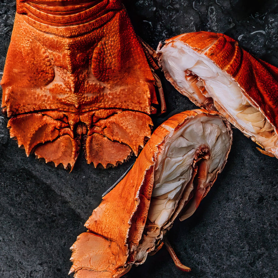 50% Off - Whole Slipper Lobsters Raw Moreton Bay Bugs 2kg (ME18)