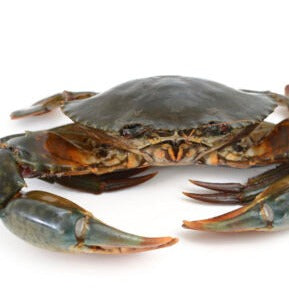 Raw Mud Crab Halves 1kg - Buy 1 Get 1 free