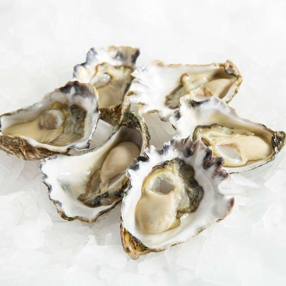 Sydney Rock Oysters – Steak King