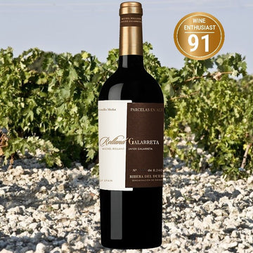 R&G Ribera del Duero 2019 (Case of 6)