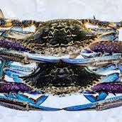 50% Off - Raw Blue Swimmer Crab Meat 1kg (ME18)