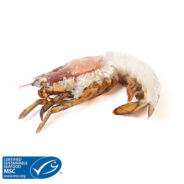 WHOLESALE OFFER Raw Moreton Bay Bugs / Slipper Lobsters 5kg box Half Price!