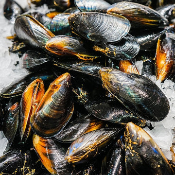 Tasmanian Spring Bay Mussels