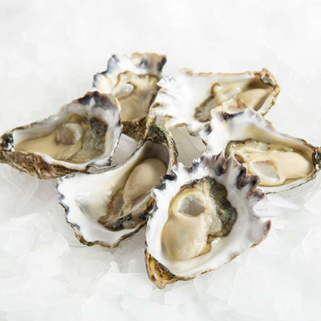 Coffin Bay Pacific Oyster - 1 Dozen Live