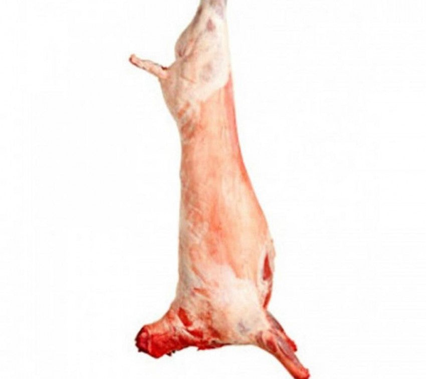 BBQ Pack Frozen whole Dorper Lamb 18-20kg