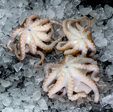 Mediterranean Baby Octopus (2 trays x 400g)