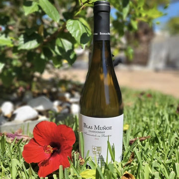 Blas Muñoz Chardonnay 2023 (case of 6)