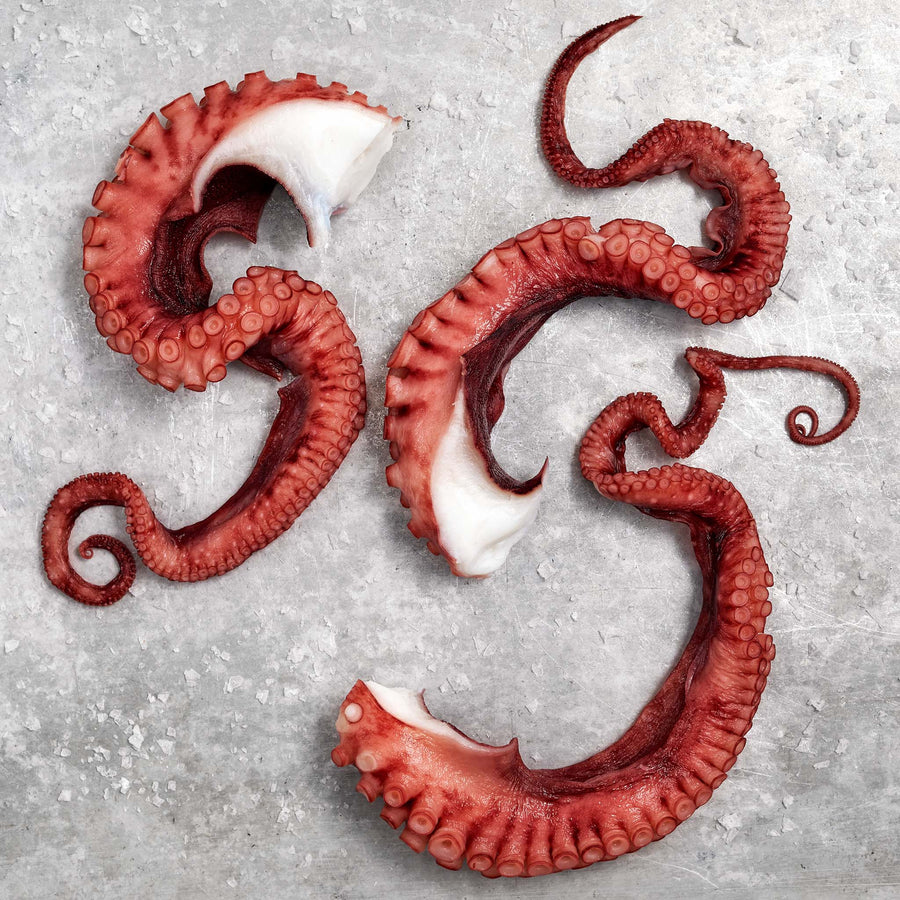 Freemantle Cooked Octopus Tentacles