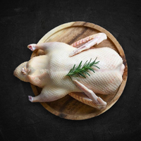 急凍全隻鴨1.8 - 2.0公斤