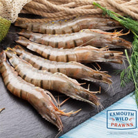 Frozen Australian Wild Tiger Prawns