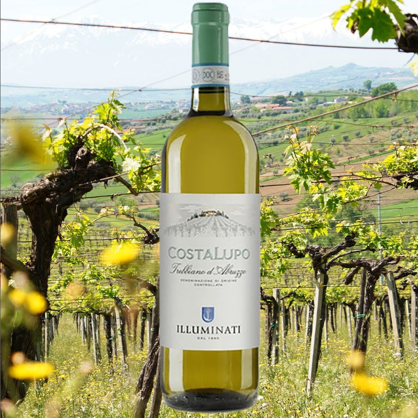 Illuminati Costalupo Trebbiano d&