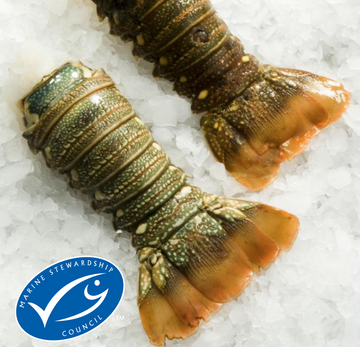 Frozen Caribbean Lobster Tails 1Kg