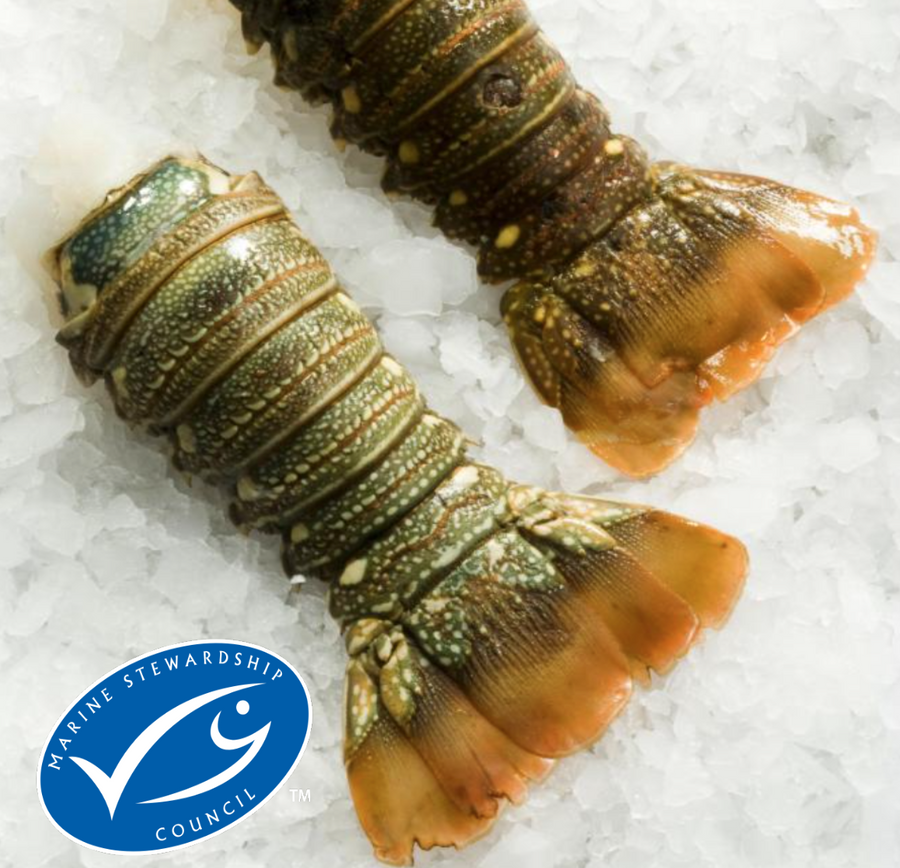Frozen Caribbean Lobster Tails 1Kg