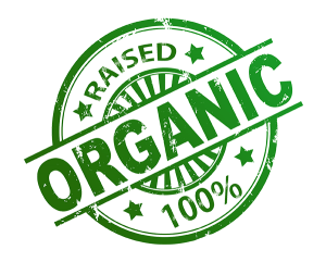 Chilled Organic Grass Fed MS1-2 Striploin 2kg