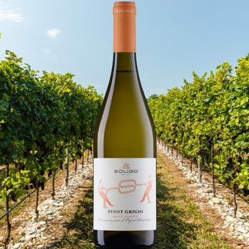 Soligo Pinot Grigio DOC 2024