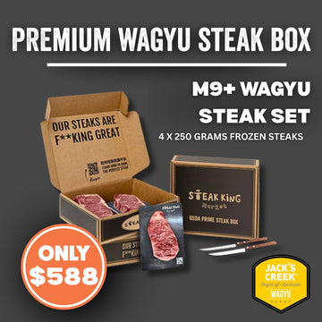 【即將上架】急凍M9+和牛肉眼x西冷扒套餐 1公斤（免費牛扒刀+免費送貨）