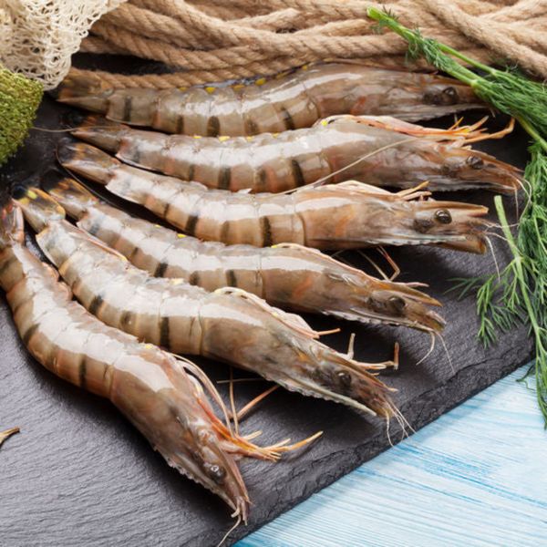 Frozen Australian Wild Tiger Prawns