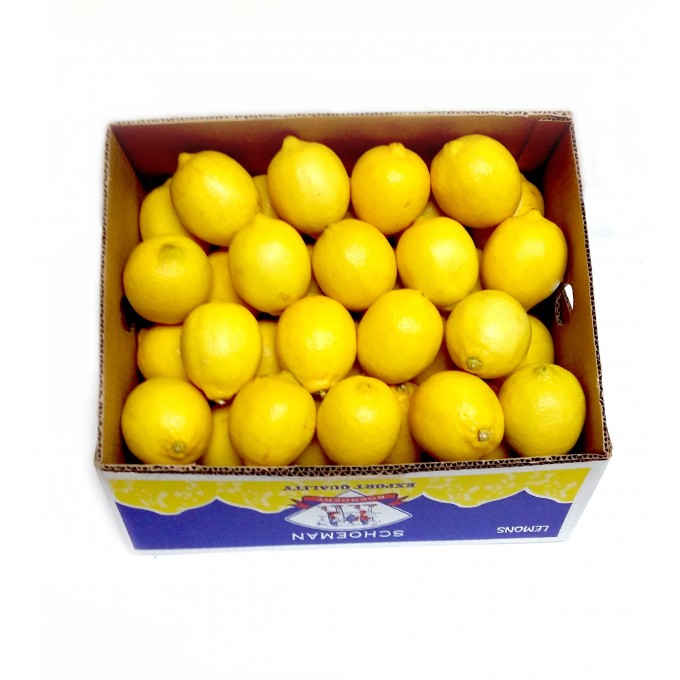 South African Lemons - Wholesale Case