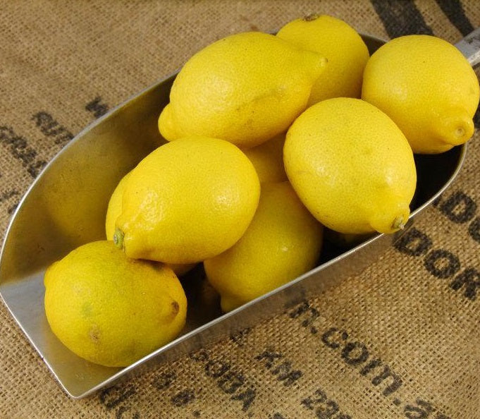 South African Lemons - Wholesale Case