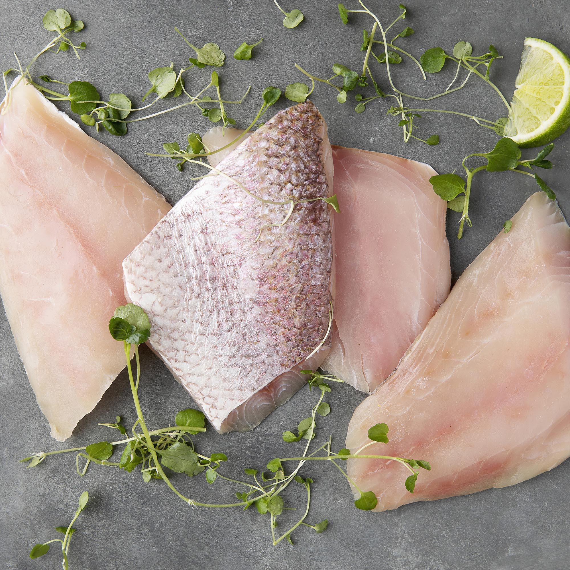 Frozen Pink Snapper Fillets (4 x 150g) – Steak King