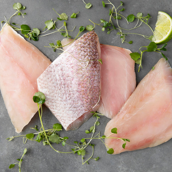 Frozen Pink Snapper Fillets (4 x 180g)