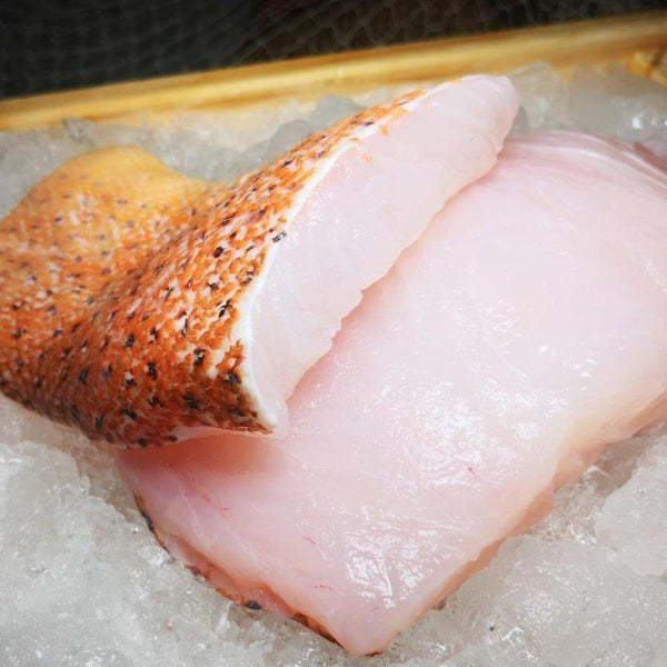 Frozen Red Spotted Grouper Fillets