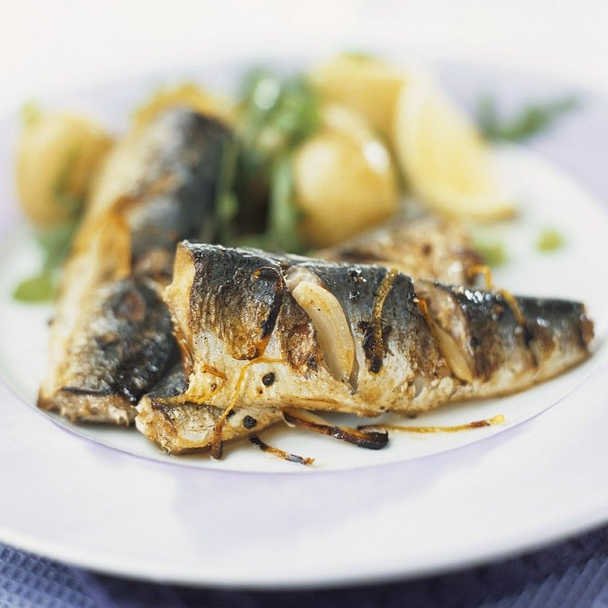 Frozen Sardine Fillets 2x500 gram packs Steak King